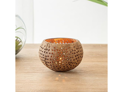 Coconut Bowl Free Shipping White Lacquer Natural Jumbo Polished Sets