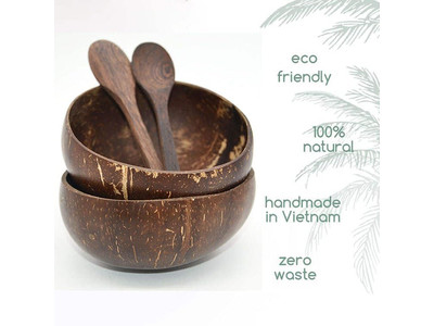 Coconut Bowls Factory Icecream Bowl Crafted Dessert Lacquerd Reusable