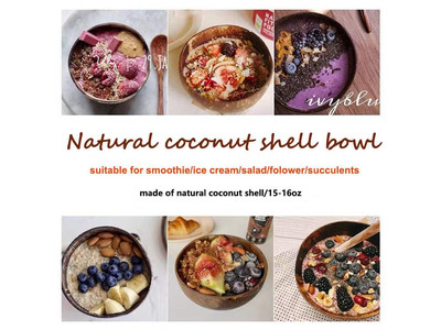 Coconut Bowls Factory Icecream Bowl Crafted Dessert Lacquerd Reusable