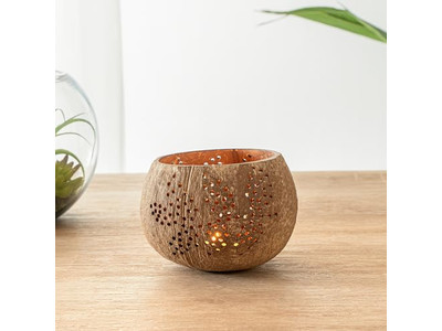 Salad Bowl With Lid Colored Coconut For Pet Healthy Durable Vietnam Trends Bowls
