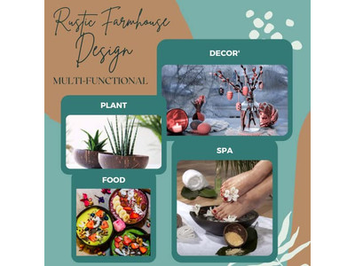Small Coconut Bow Buy Bowls Kids Bowl Mini Sell Engraved Coconuts Acai Blender