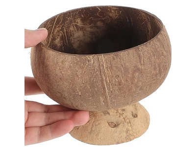 Spoon Coconut Wooden Bowl Carvimg Wedding Quality Safety Bowls Small Shells